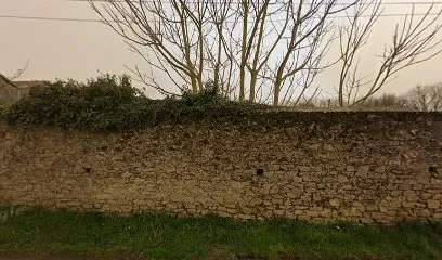 Image de Electra Organic