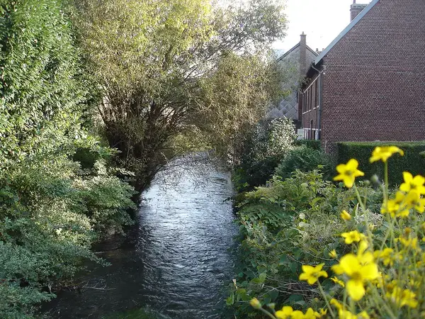 Isolation Extérieure Bardage Isolation extérieure bardage Déville-lès-Rouen