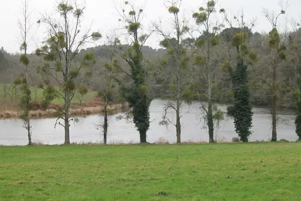 Isolation Extérieure Bardage Isolation extérieure bardage Muzillac